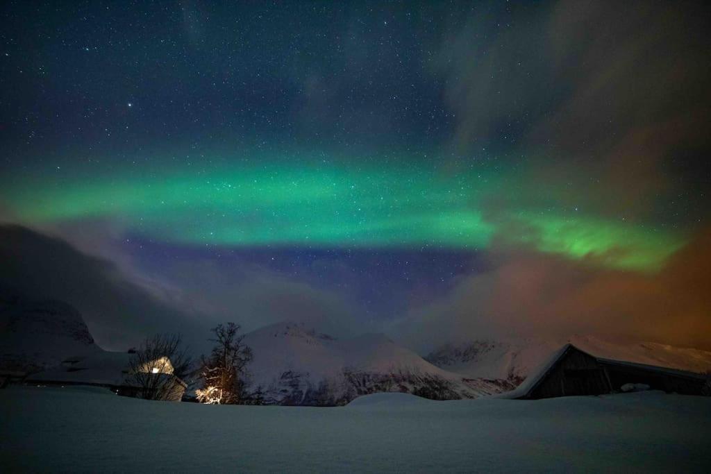 Mountainside Lodge - Breivikeidet ทรอมโซ ภายนอก รูปภาพ