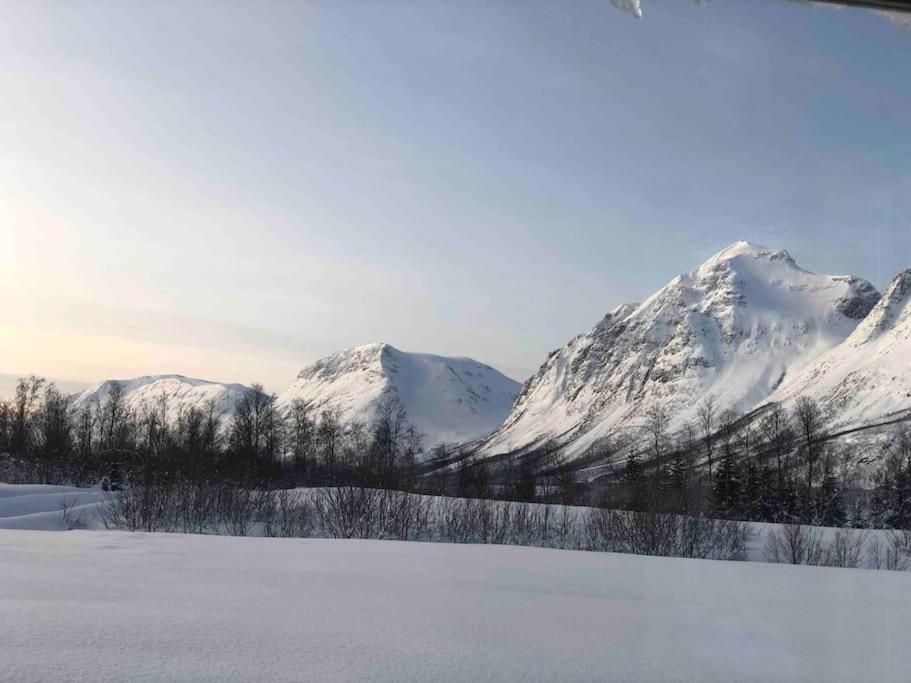 Mountainside Lodge - Breivikeidet ทรอมโซ ภายนอก รูปภาพ