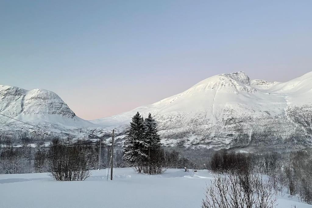 Mountainside Lodge - Breivikeidet ทรอมโซ ภายนอก รูปภาพ