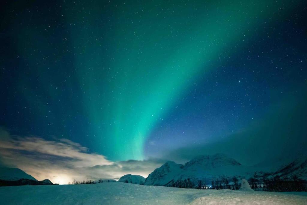 Mountainside Lodge - Breivikeidet ทรอมโซ ภายนอก รูปภาพ