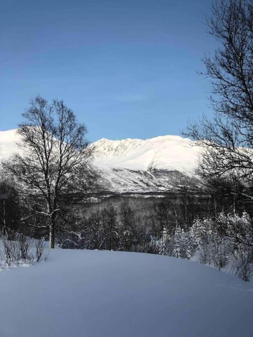 Mountainside Lodge - Breivikeidet ทรอมโซ ภายนอก รูปภาพ