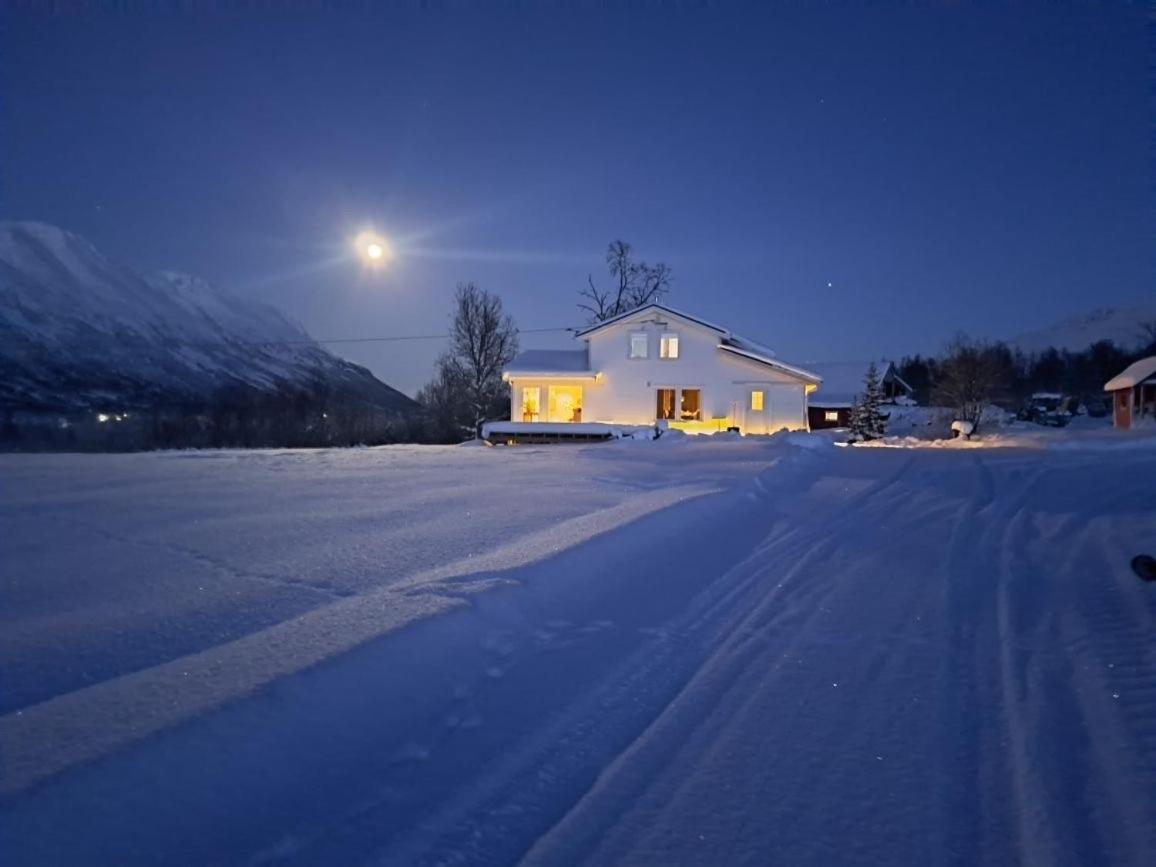 Mountainside Lodge - Breivikeidet ทรอมโซ ภายนอก รูปภาพ